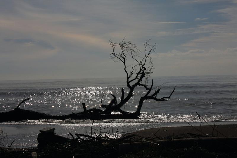 26-Minturno,6 dicembre 2009.jpg